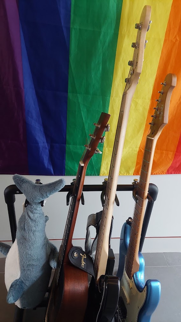A guitar rack with a Smolhaj (small Ikea blue shark plushie) held up by their tail, a dark wood travel acoustic guitar, a black bass guitar, and a blue electric guitar. There's a progress pride flag on the wall behind them.

For any pedants, all 3 guitar straps are Fender and the bass guitar is a Squier which is a Fender brand.