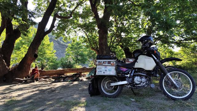 Motorrad unter Bäumen. Sonne leuchtet Frau an, die am Boden hockt und Kaffee trinkt