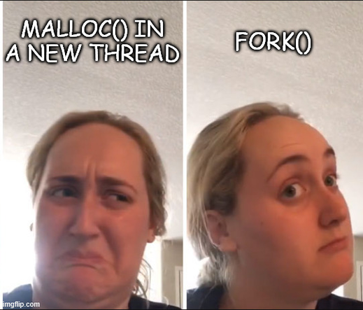 kombucha girl meme.

On the "ick" side: "malloc() in a new thread"
On the "maybe" side: "fork()"