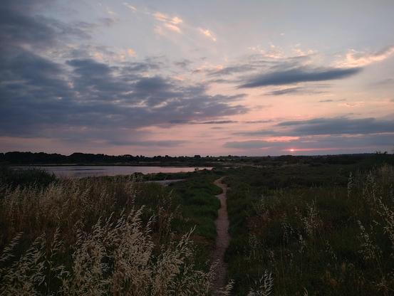 Sunset with water on the left and a path through some greenery in the middle.