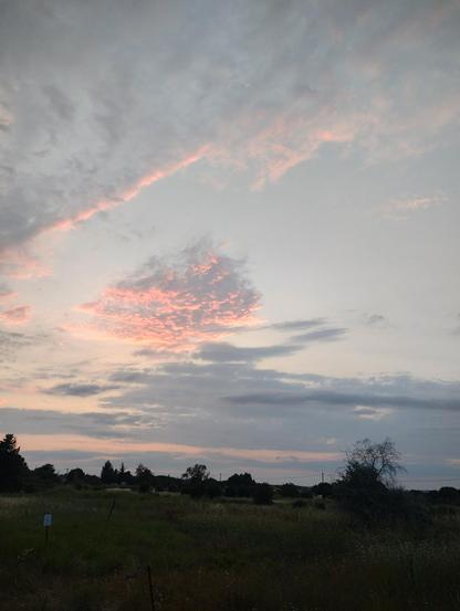 The sky, with a cloud lit up in sunset tones (peach-coloured?). Some trees at the bottom.