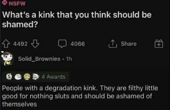 A screen grab from Reddit:
Question:  What's a kink that you think should be shamed?
Answer:  People with a degradation kink.  They are filthy little good for nothing sluts and should be ashamed of themselves.