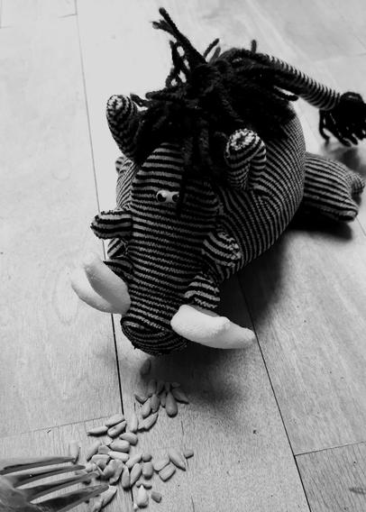 a plushy boar, eyeing the seeds and the fork and the camera suspiciousely at the same time, ready to pounce