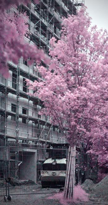Infrared photograph of a building site of an apartment complex, mostly monochrome. A CAT machine is standing in front of the building behind a fence. There are trees in the foreground, with a brightly pink foliage.
