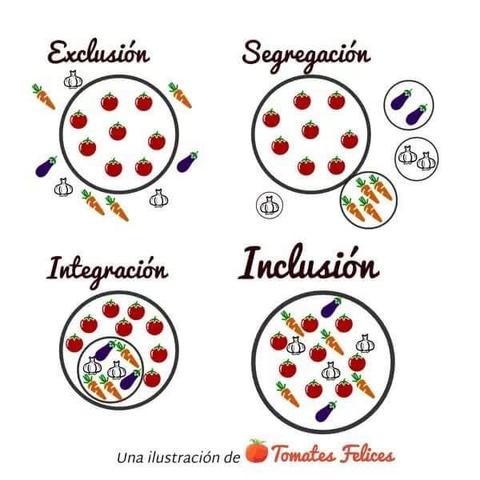 A pictogram in 4 parts explaining a) Exclusion = 1 sort of vegetables inside a circle, 3 other types of vegetables outside the circle b) Segregation = 1 sort of vegetables inside a circle, 3 other types of vegetables outside the circle each in their own little circle c) Integration 1 sort of vegetables inside a circle, 3 other types of vegetables inside the circle all together in one smaller circle d) Inclusion = all types of vegetables together inside the circle