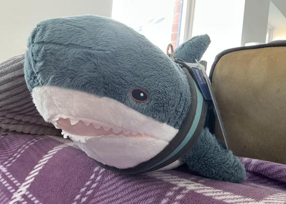 A Blåhaj cuddly shark sitting on a purple blanket.