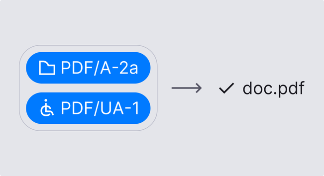 Box with selected buttons PDF/A-2a and PDF/UA-1. Arrow pointing from that box to filename doc.pdf with checkmark