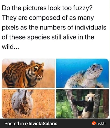 Do the pictures look too fuzzy?

They are composed of as many pixels as the numbers of individuals of these species still alive in the wild...

Posted in r/Invicta Solaris