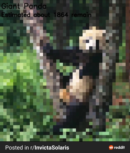 giant panda estimated about 1864 remain.