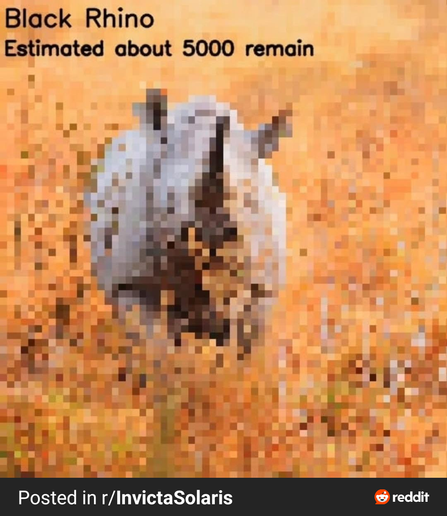 black rhino estimated about 5,000 remain.