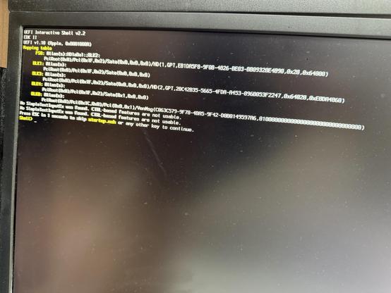 Ein Computerbildschirm mit einer UEFI Interactive Shell-Schnittstelle, die technische Informationen und Fehlermeldungen zur Hardwarekonfiguration anzeigt. Der Bildschirm enthält Systemaufforderungen und Fehlermeldungen, die darauf hinweisen, dass bestimmte Funktionen nicht verwendbar sind.