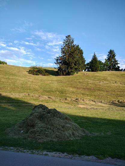 A pile of cut grass in the foreground. Hill with grass and trees in the background against the sky.
