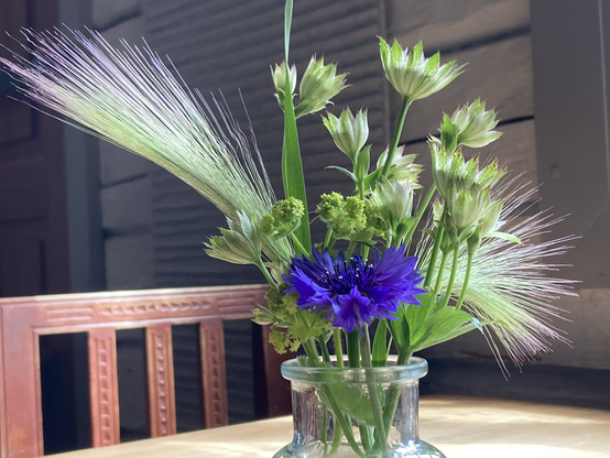 Boeketje bloemen in bijzondere lichtval