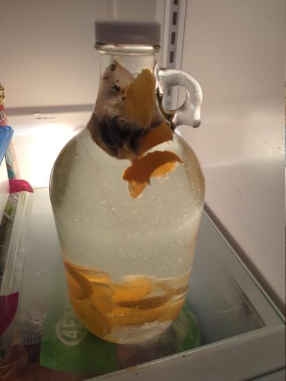 Approximately three liter jug full of water with some citrus slices floating, and a large teabag floating at the top