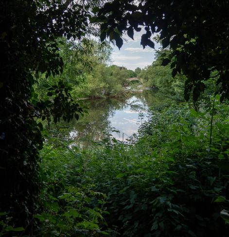 A river, crossed by an old stone bridge, seen through a gap in dense vegetation.