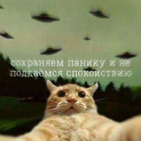 Сохраняем панику и не поддаёмся спокойствию