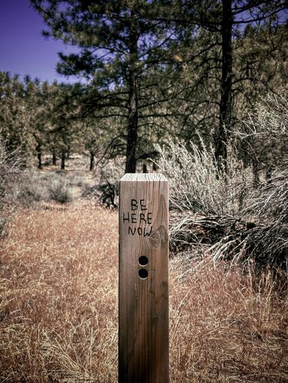 A wooden post that says “BE HERE NOW,” standing in front of dry grasses, desert scrub, pine trees, and a blue sky.