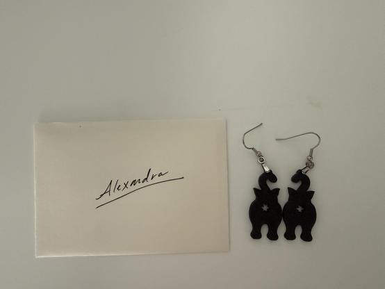 a pair of cat butt earrings next to a small note addressed Alexandra
