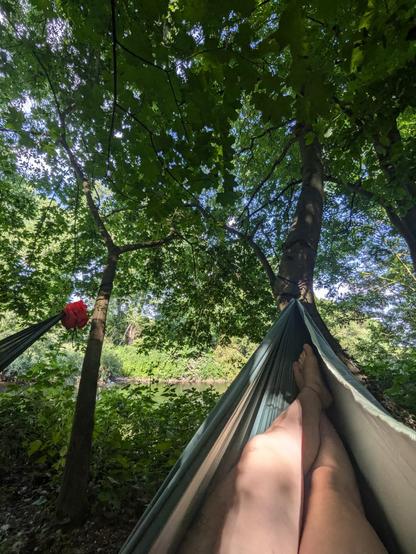 hammock in the shade on a narrow island-ish chunk of trees by the river