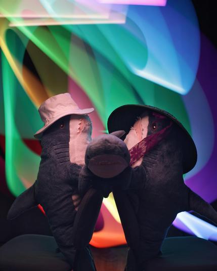 Two Blahaj's on chairs facing each other with a Smolhaj in the middle, lit by rainbow coloured streaks