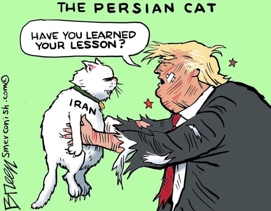 Political cartoon titled "The Persian Cat." A white cat labeled "IRAN" scratches and claws at a caricature of Donald Trump, leaving visible scratch marks on his face and hands. The cat asks, "Have you learned your lesson?" Trump appears pained and startled. The cartoon is drawn by Smerconish.