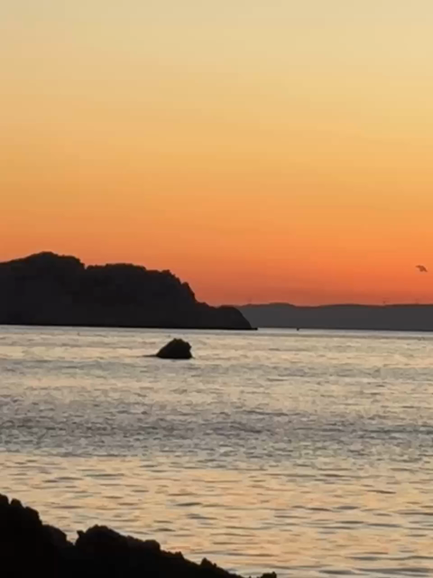 La mer Méditerranée, au coucher de soleil, un aileron de dauphin émerge d’entre les roches avant de retourner sous l’eau.