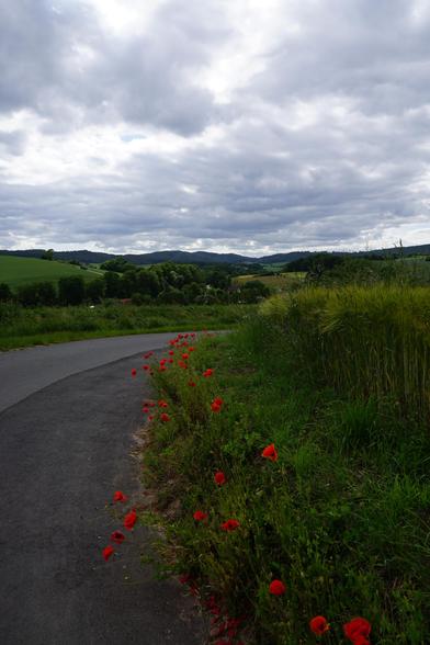 von links zur Bildmitte führt in einer Kurve eine Straße ins Bild und verschwindet in der Mitte im grünen. Rechts ist eine Straßen Böschung die mit Mohn beblüht ist nach dem dann ein Weizenfeld folgt. Am anderen Straßenrand fällt der Blick über ein Tal in dem durch Wiesen, Bäume und Feldern unterschiedliche grün Schatierungen zu sehen sind und wenn man genau hinschaut sieht man zwischen den Bäumen vereinzelt Hausdächer. Zum abkühlen regt dann der Himmel an der komplett mit Wolken überzogen ist deren Struktur man guter kennen kann.