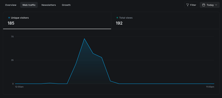 Screenshot of a dark-themed web analytics dashboard showing traffic data for "Today". At the top left, a metric card displays 185 "Unique visitors" next to another card showing 192 "Total views". Below these numbers, a line graph tracks the traffic over a 24-hour timeline from 12:00 am to 11:00 pm. The blue traffic line remains completely flat near zero for most of the morning, shoots up into a sharp, tall peak reaching a high point of nearly 70 visitors in the afternoon, and then drops rapidly back down, flattening out to zero for the rest of the evening.