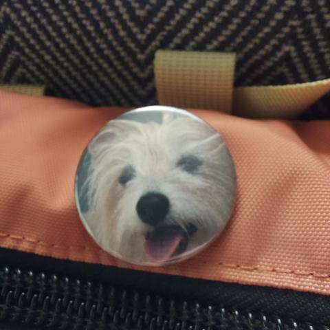 I was trying not to be the puparazzi as Annie was quite popular yesterday. but I did grab this cute button and put it on my bike pack. A button showing the face of Annie the dog from Lilypad with her tongue out.