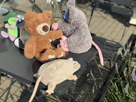 Dilo (buntes Schildkrötenstofftier, Rico, Klette und Ratti Karl sitzen auf dem Café-Tisch in der Sonne