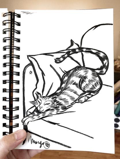 I hold up a page from my sketchbook: It is a cat sleeping in the sofa, his front paws stretched out, eyes closed. It is drawn in black ink.