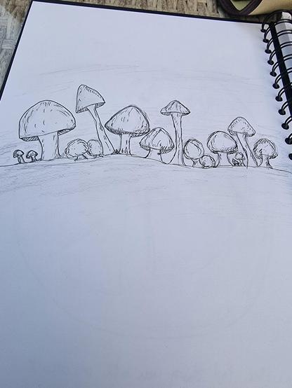 A row of mushrooms drawn in a sketchbook of various sizes. They are lined up on a lumpy hill.
