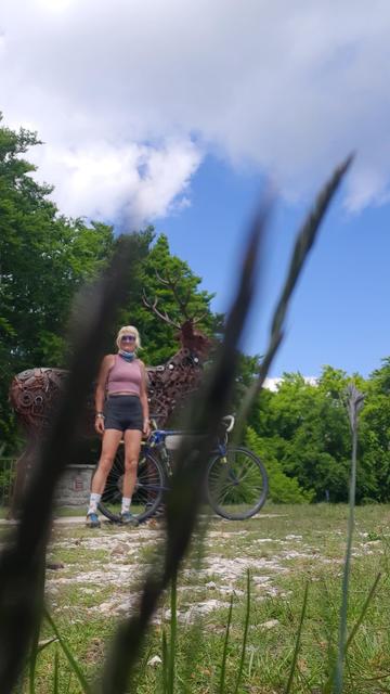 Me and my bicycle standing behind leaves of grass at a welded iron deer