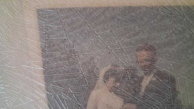 Translucent interleaving paper laid over a wedding photo. The paper is embossed with a subtle spiderweb pattern, and there's a fly caught in the web