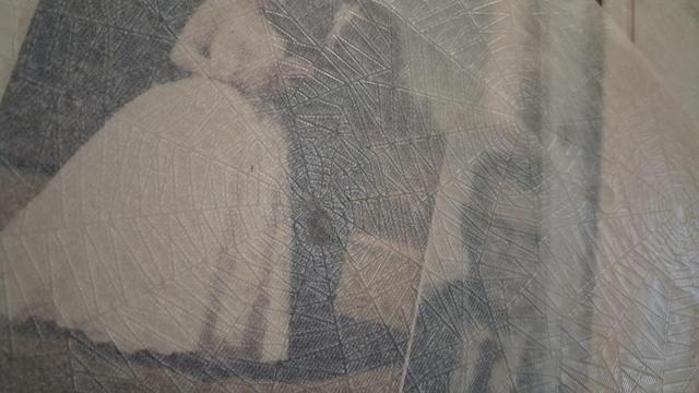 Translucent interleaving paper laid over a wedding photo. There's a pattern of spidetwebs embossed in the paper, and a spider, barely visible.