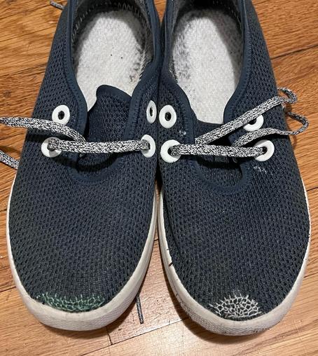 A pair of slate blue allbirds shows with a honeycomb darn covering the toe of both shoes.