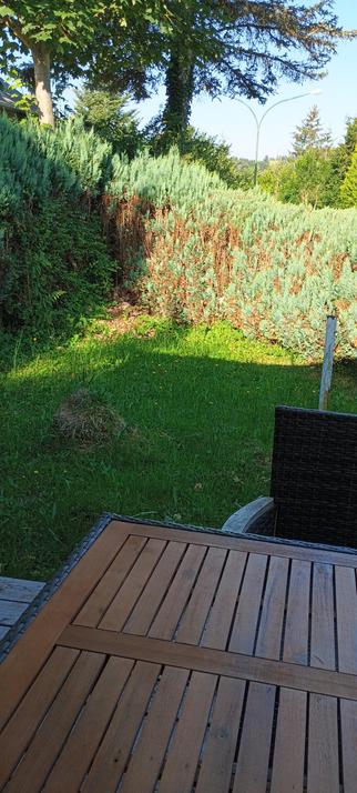 Terrasse und Rasenfläche eines kleinen Gartens, der noch fast ganz im Schatten liegt.
