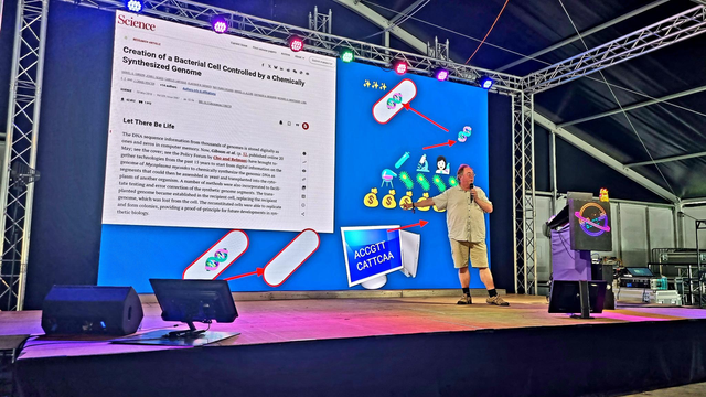 bert op podium met korte broek en korte mouwen