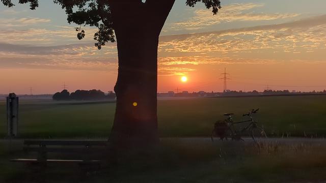 Ein Fahrrad neben einem Baum mit Bank. Im Hintergrund geht über einer Stadt die Sonne auf.
