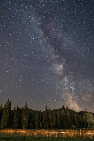 The Milky Way Amid Mountains and Coniferous Forests.