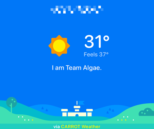 A screenshot from Carrot - 31c sunshine and the statement “I am Team Algae”