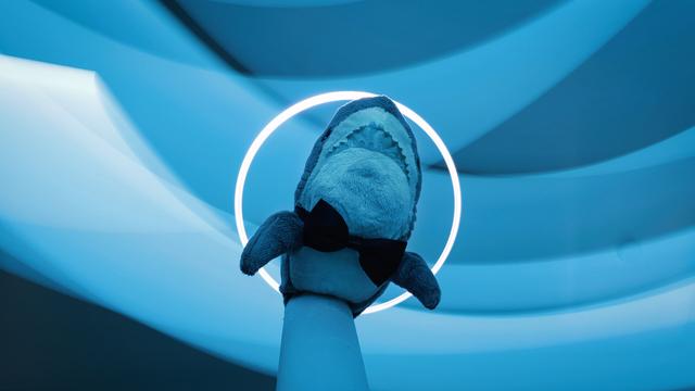 Smolhaj (small IKEA shark) with a bow tie under a white light halo surrounded by light blue "ocean" streaks