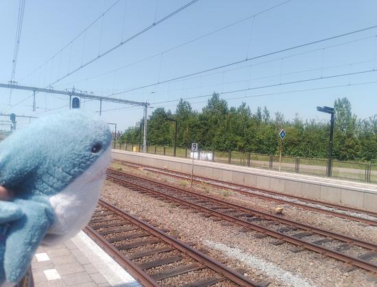 Me looking at square NS station clock on a railway station.