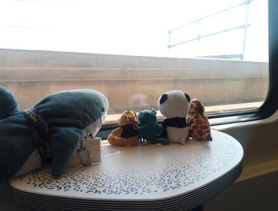 Blåhaj, small plush bear, and dragon, plush panda, and giraffe, sitting on a table ofa a VIRM and looking out of the window. The train is leaving a tunnel.
The shark holds its OV-chip card in its fins.