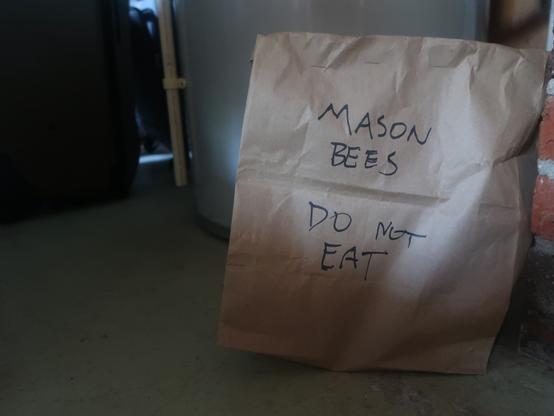 Brown paper bag in a dimly-lit basement. On the bag is scrawled "MASON BEES - DO NOT EAT"
