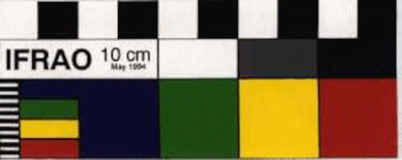 IFRAO color reference scale used in rock art recording. site: https://www.cesmap.it/ifrao/scale.html