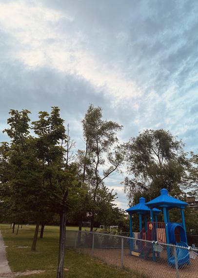 Sunset photo from a park