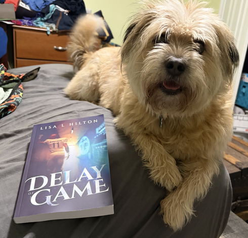 A scruffy, light tan terrier lays on a grey bed, looking up at the camera. On the bed next to her is a paperback copy of Delay of Game by Lisa L Hilton