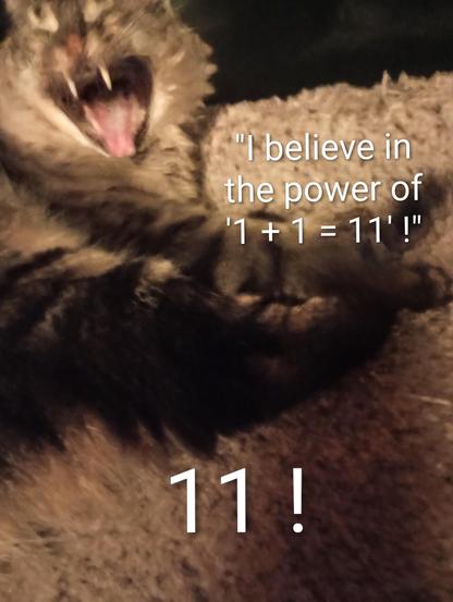 cat saying business-talk nonsense, "I believe in the power of 1+1=11!"