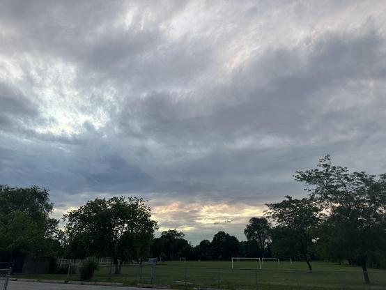 Sunset over trees
